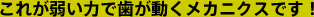 これが弱い力で歯が動くメカニクスです!